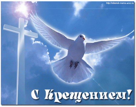 Голубь на голубом фоне